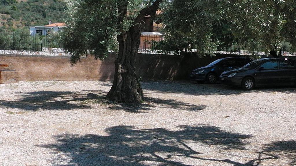 Villa Maro Skopelos Town Bagian luar foto